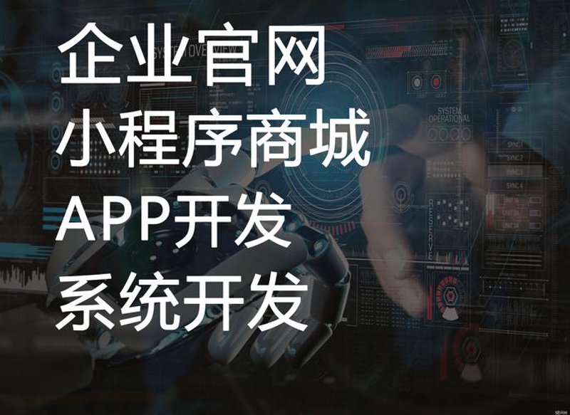贵州软件业的发展与趋势——贵阳软件公司的崛起